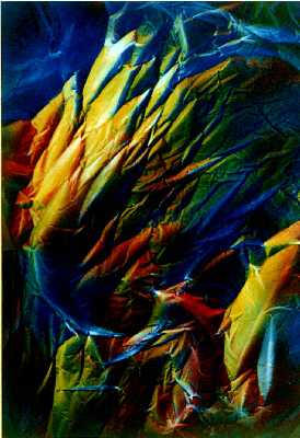 Shoal 46x35cm Acrylic