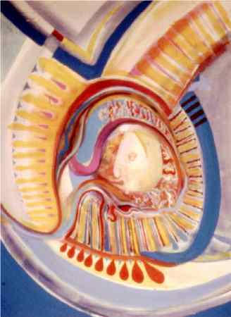 71 Embryo