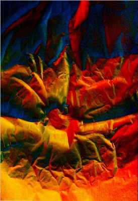  Flytrap II  100x150cm Acrylic on Acetate