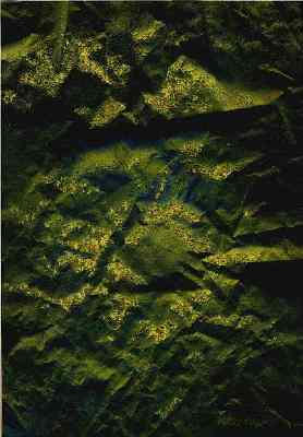 Green Triode A6 Acrylic