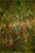 strangegarden47x73cmacryliconcanvas_small.jpg